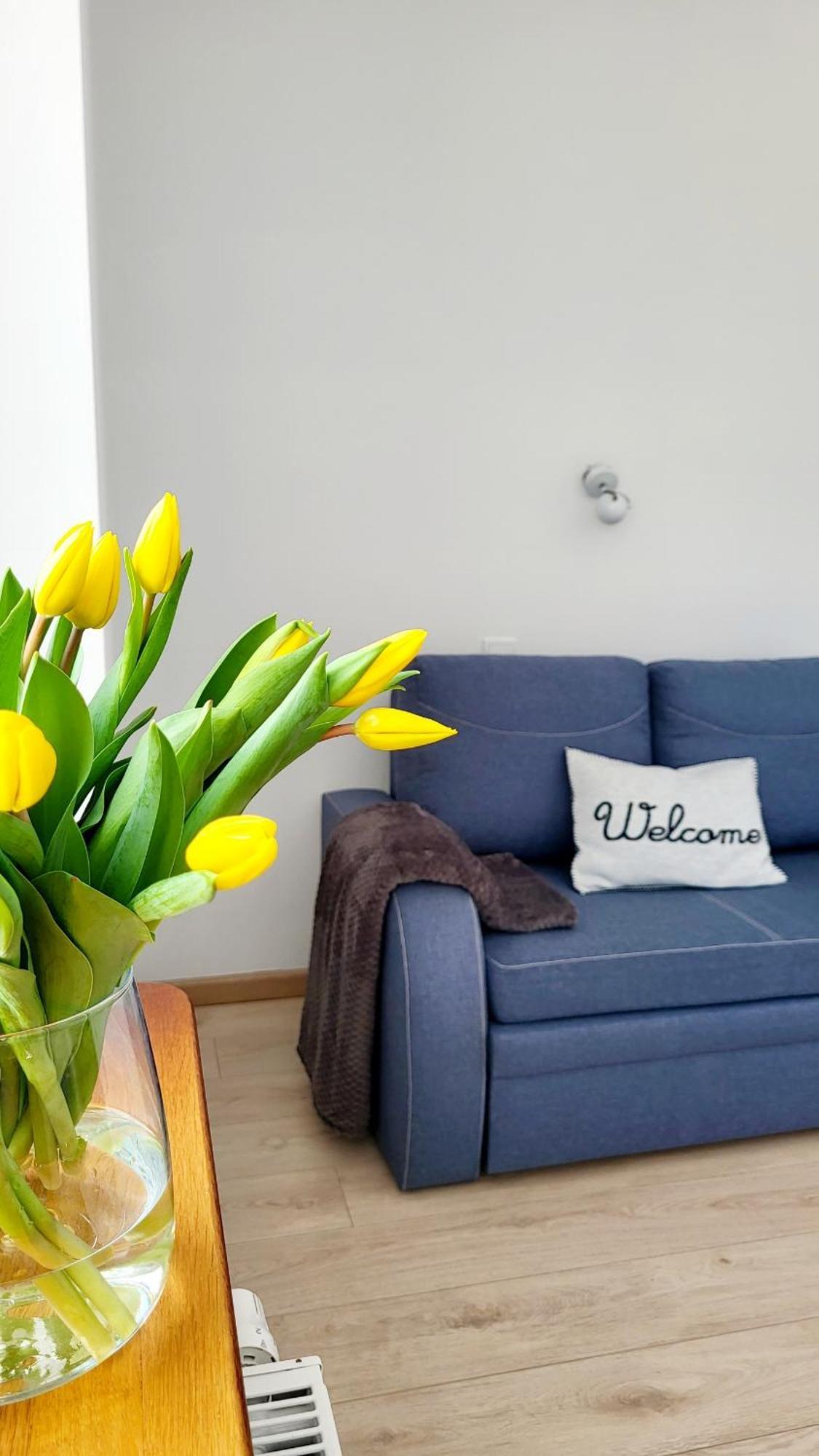 Na Zeglarskim Szlaku Wjm Apartment Gizycko
